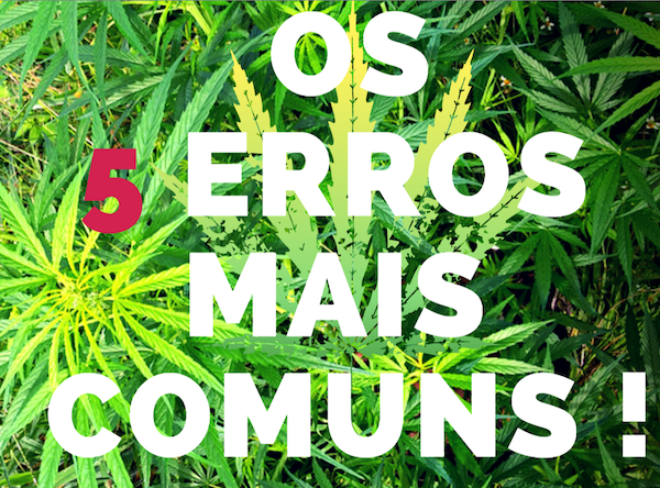 5-erros-mais-comuns.png