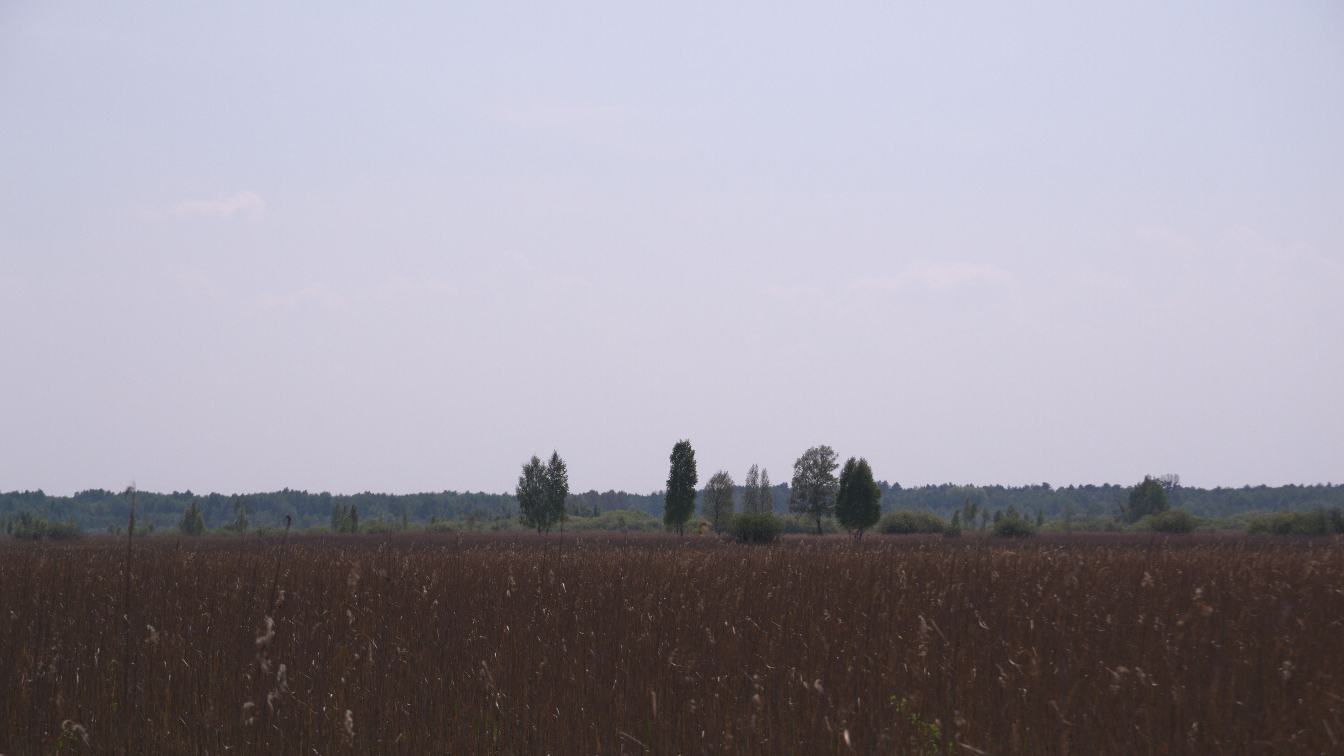 DSC_0377.jpg
