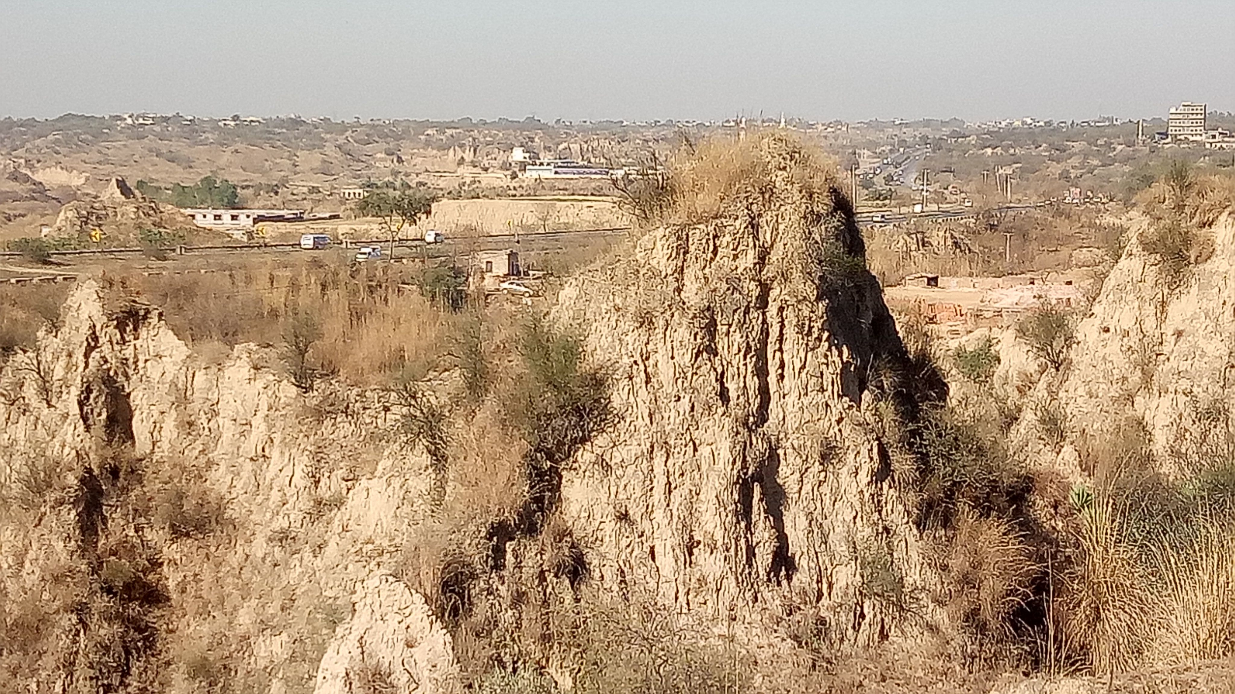IMG20180204105206.jpg