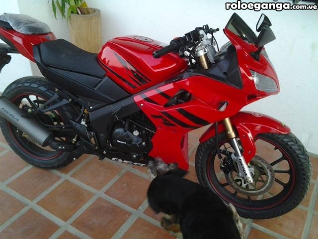 Moto-R1-Bera-Grande-11-20140711122825.jpg