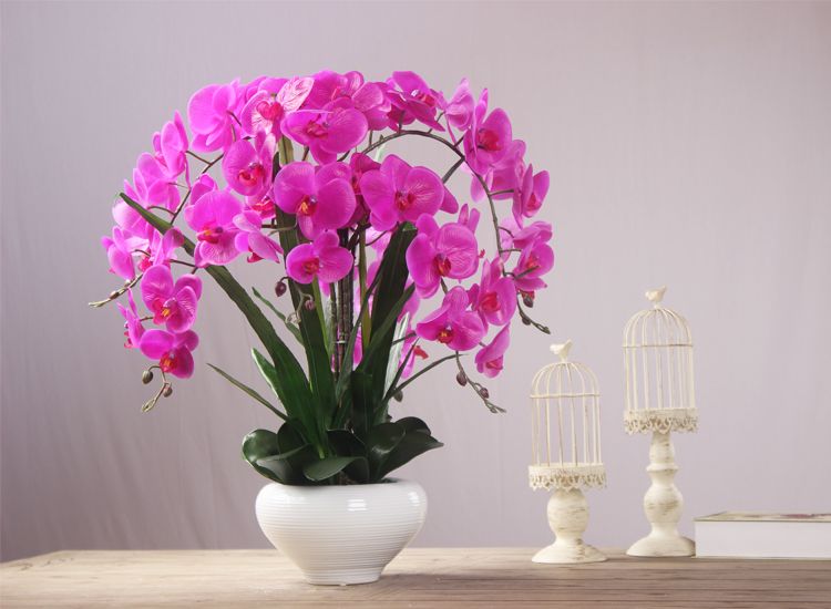 1set-silicon-material-orchid-flower-arrangement-bonsai-flower-leaf-no-vase.jpg