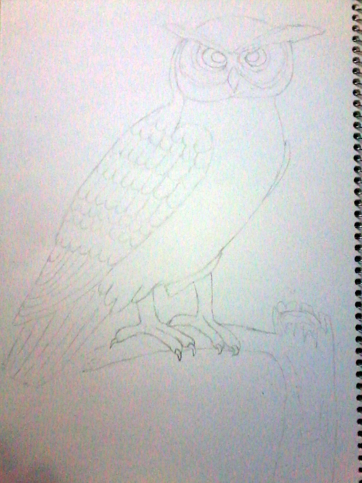 proceso1.jpg