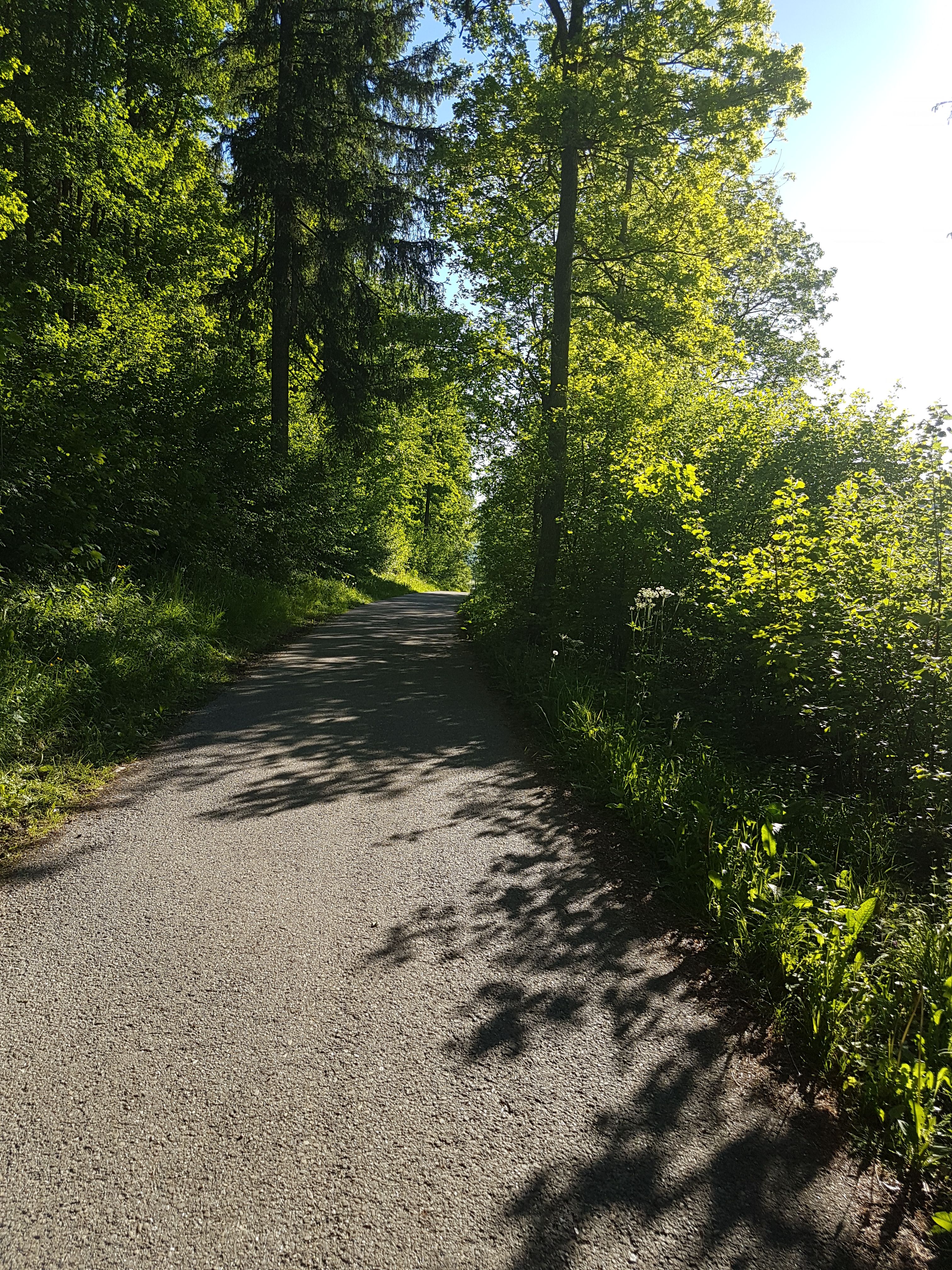 20170526_183907.jpg