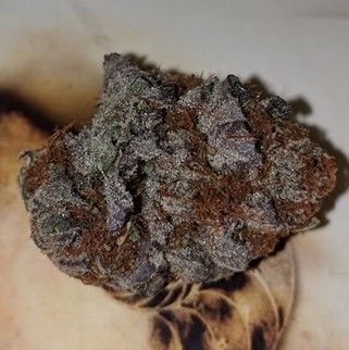 blackberrykush1.jpg