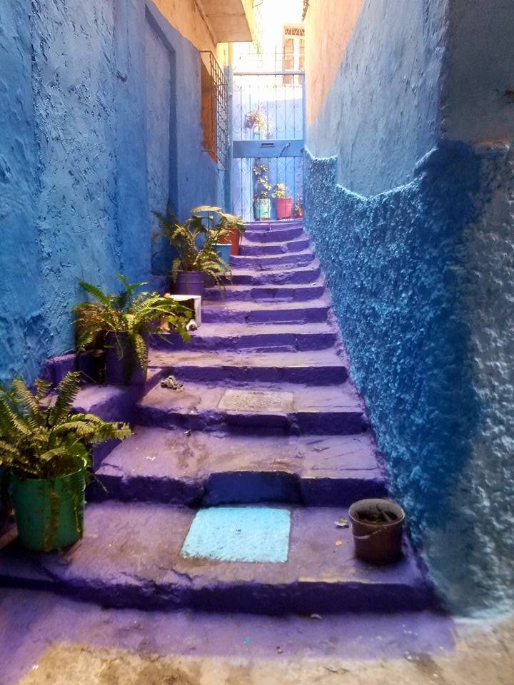 purple stairs.jpg