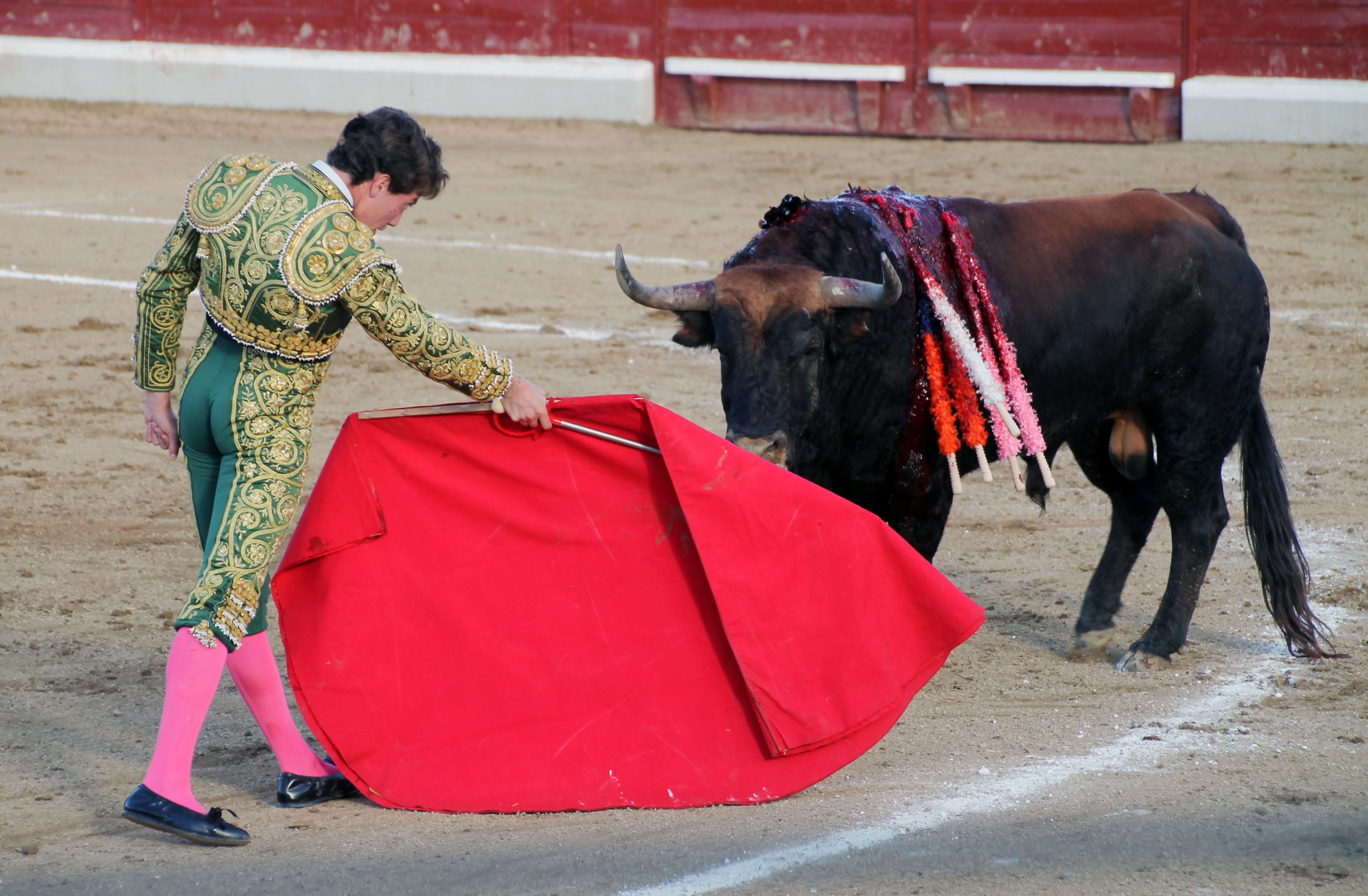 toros.jpg