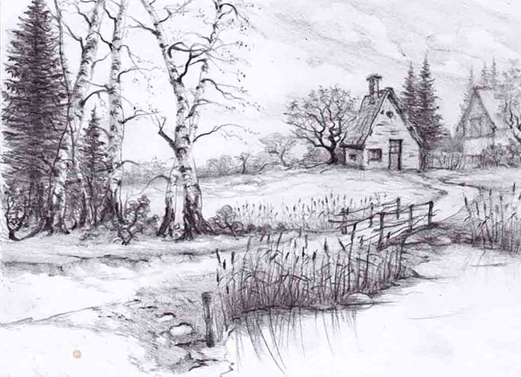 3ff6d7238571050fd5715decdd536087--pencil-drawings-of-nature-sketches-of-nature.jpg