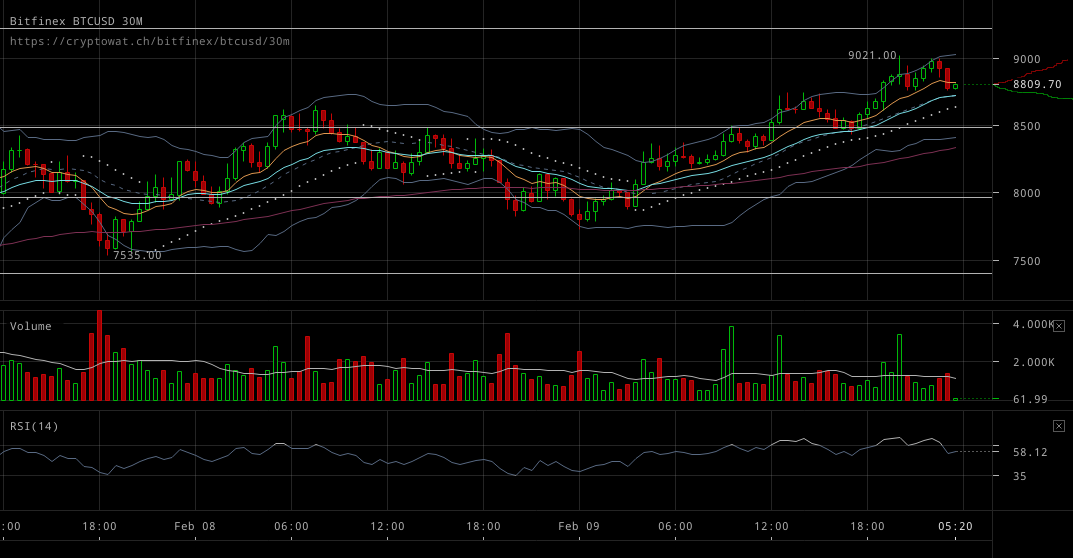 bitfinex-btcusd-Feb-09-2018-24-54-41.png