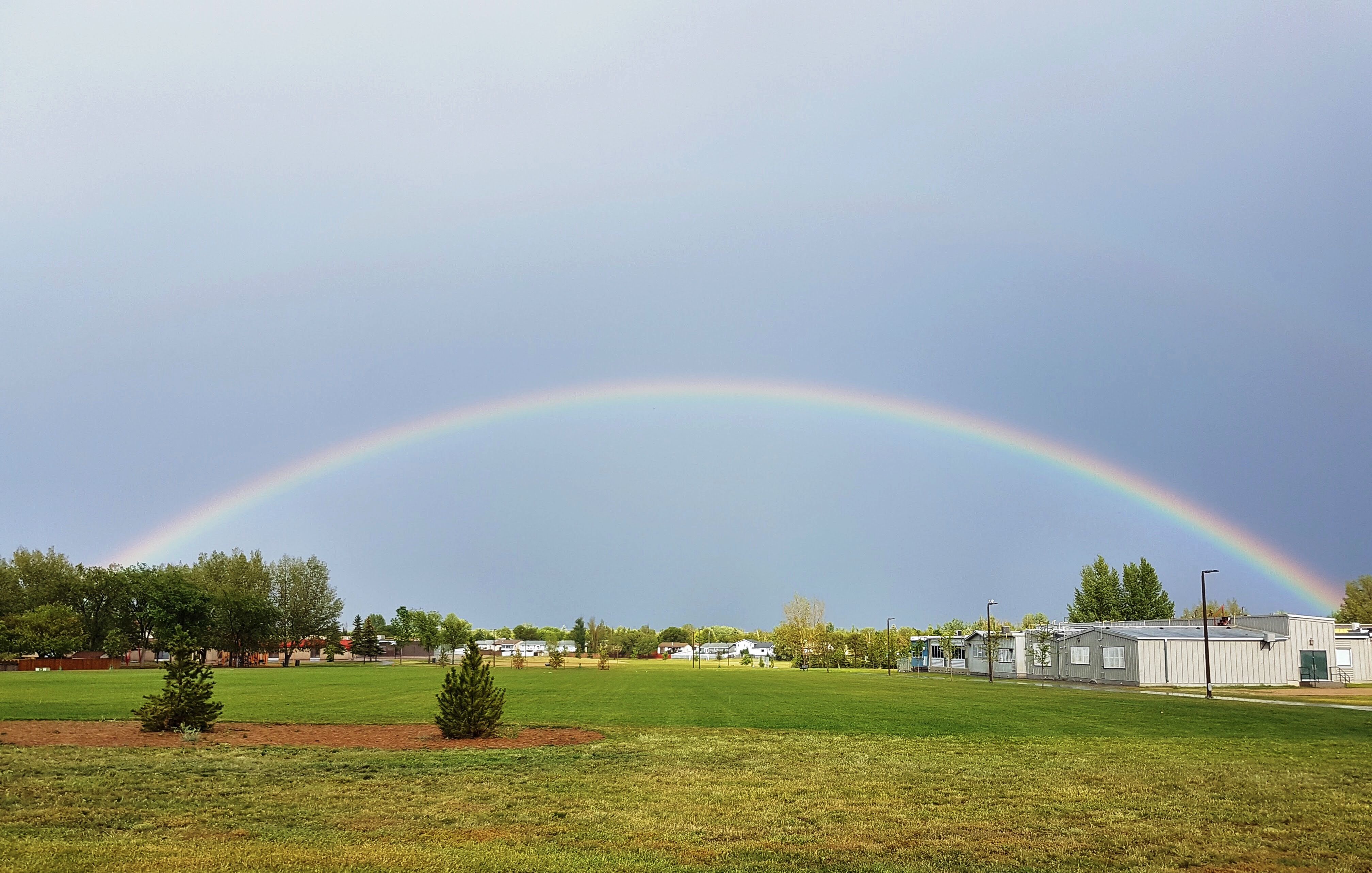 7D83AA80-A5A9-4E09-96FD-2D170B9FD7C8.JPG