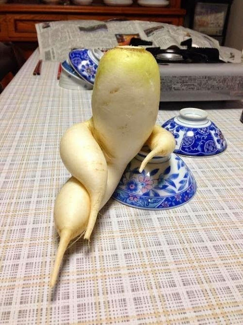웃음2.jpg