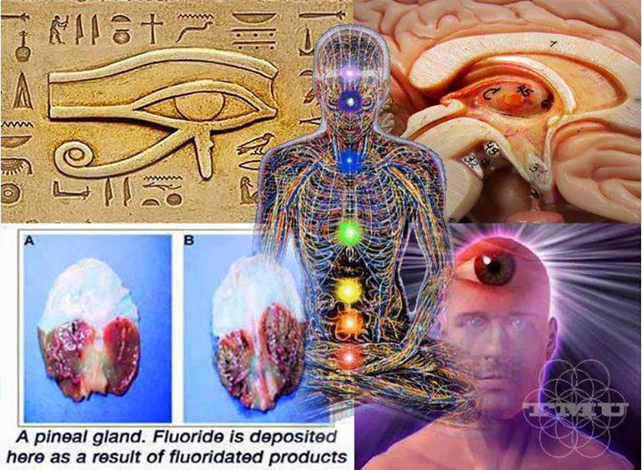 How To Decalcify And Detoxify Your Pineal Gland.jpg
