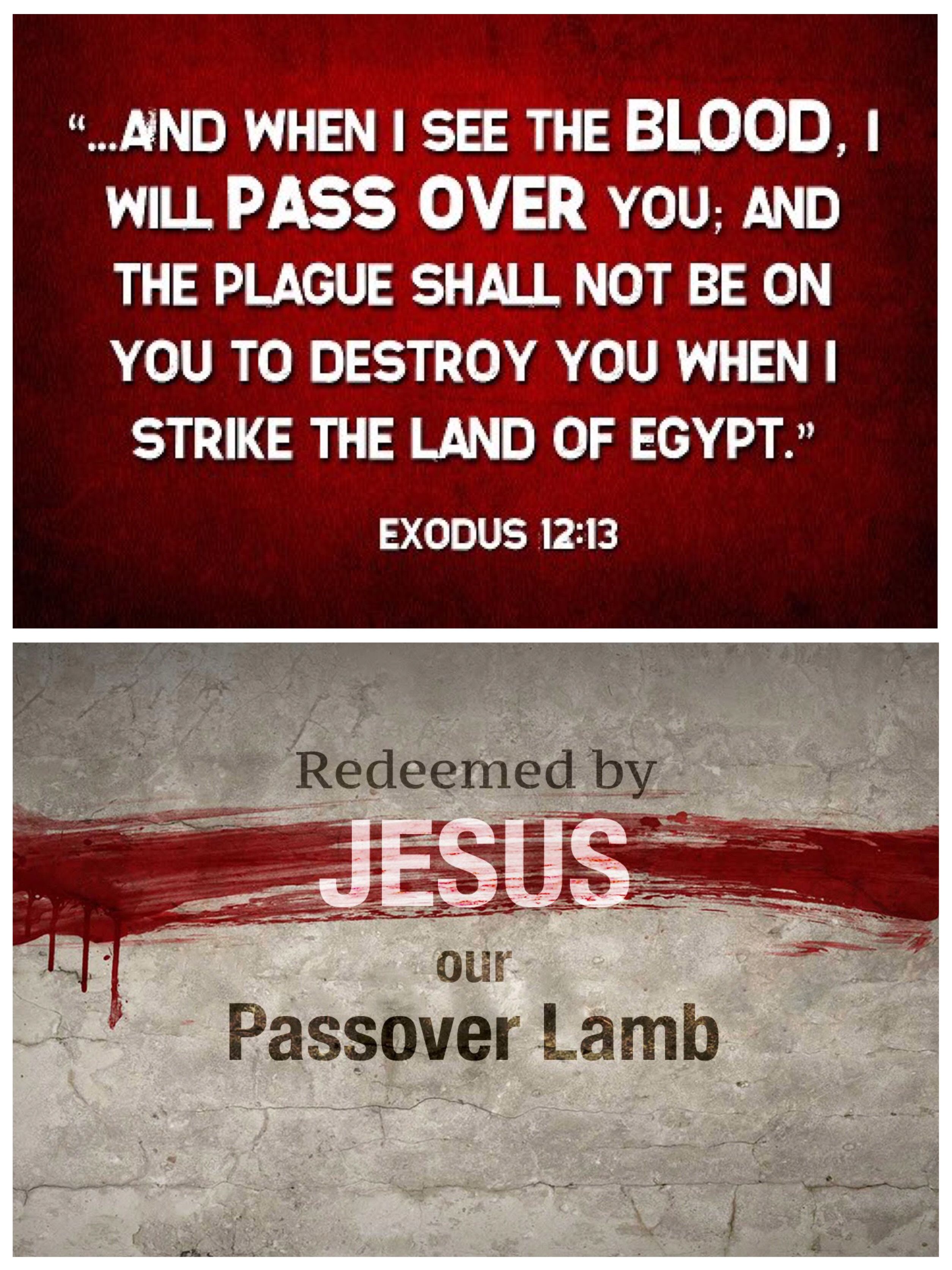 The Lamb Died so People Could Live The Light of Christ Journey