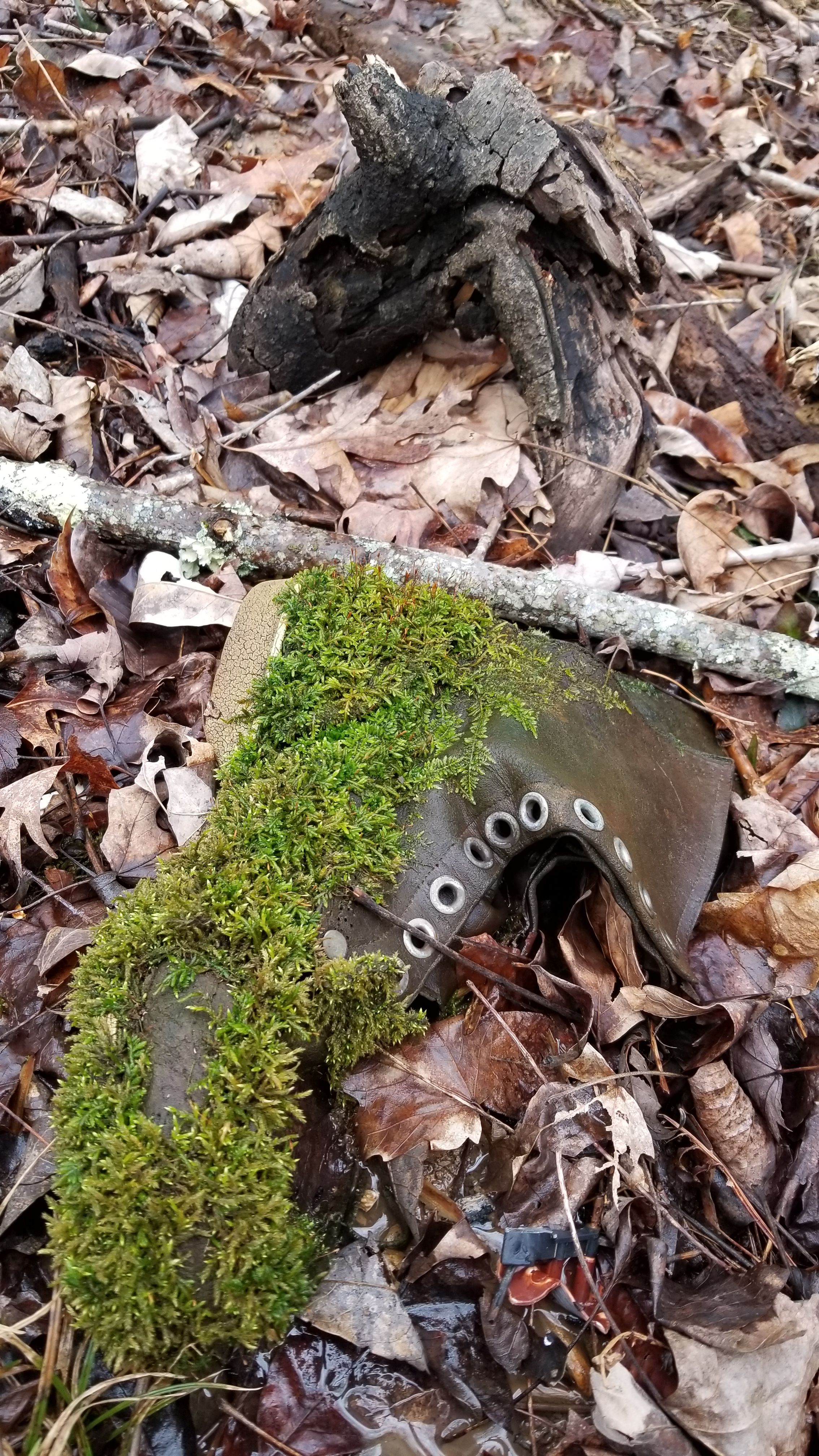 20180211_154425.jpg