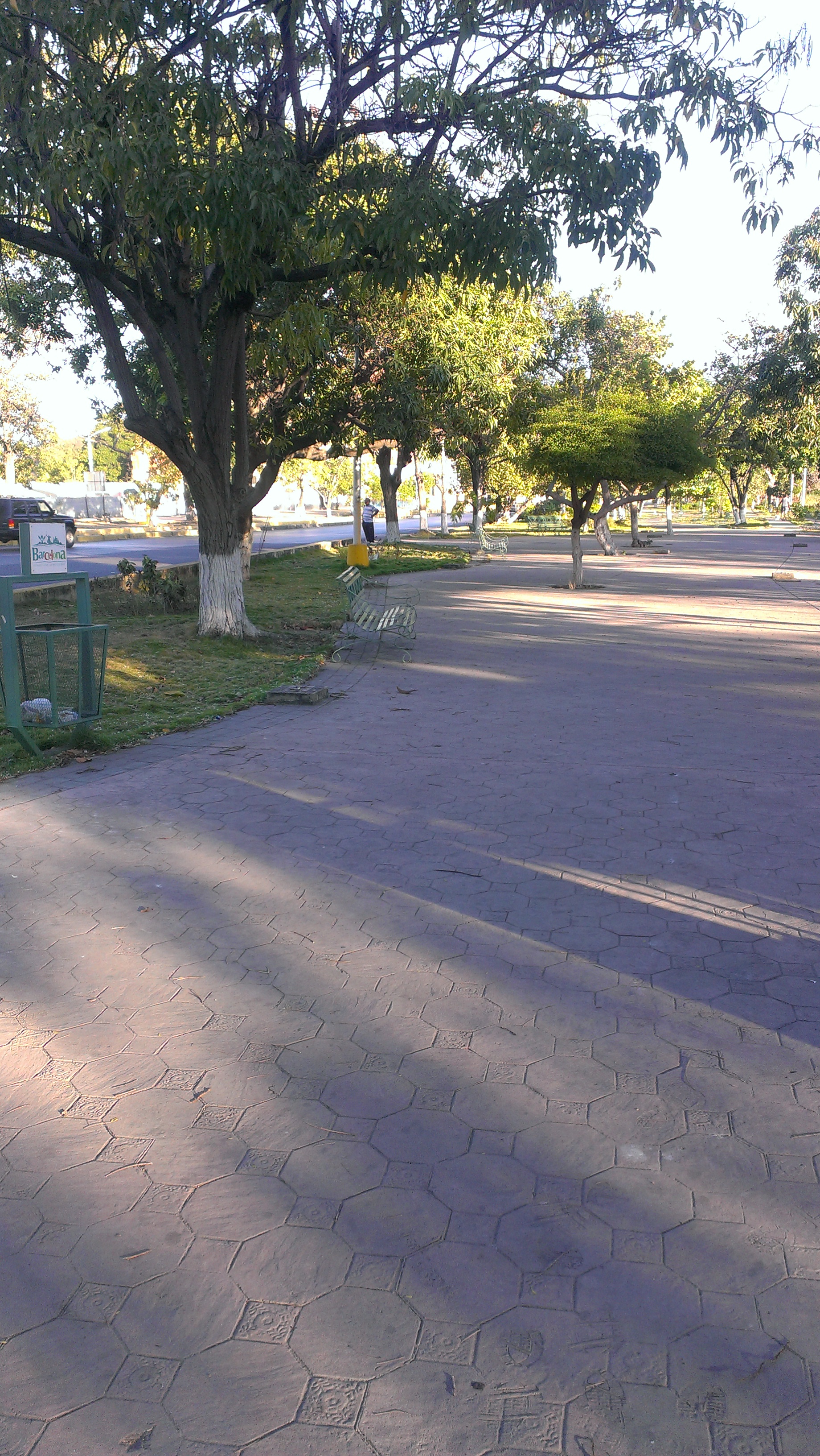 IMAG0287.jpg