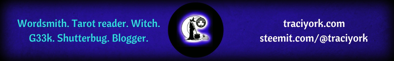 Steemit footer 798px x 125px.jpg
