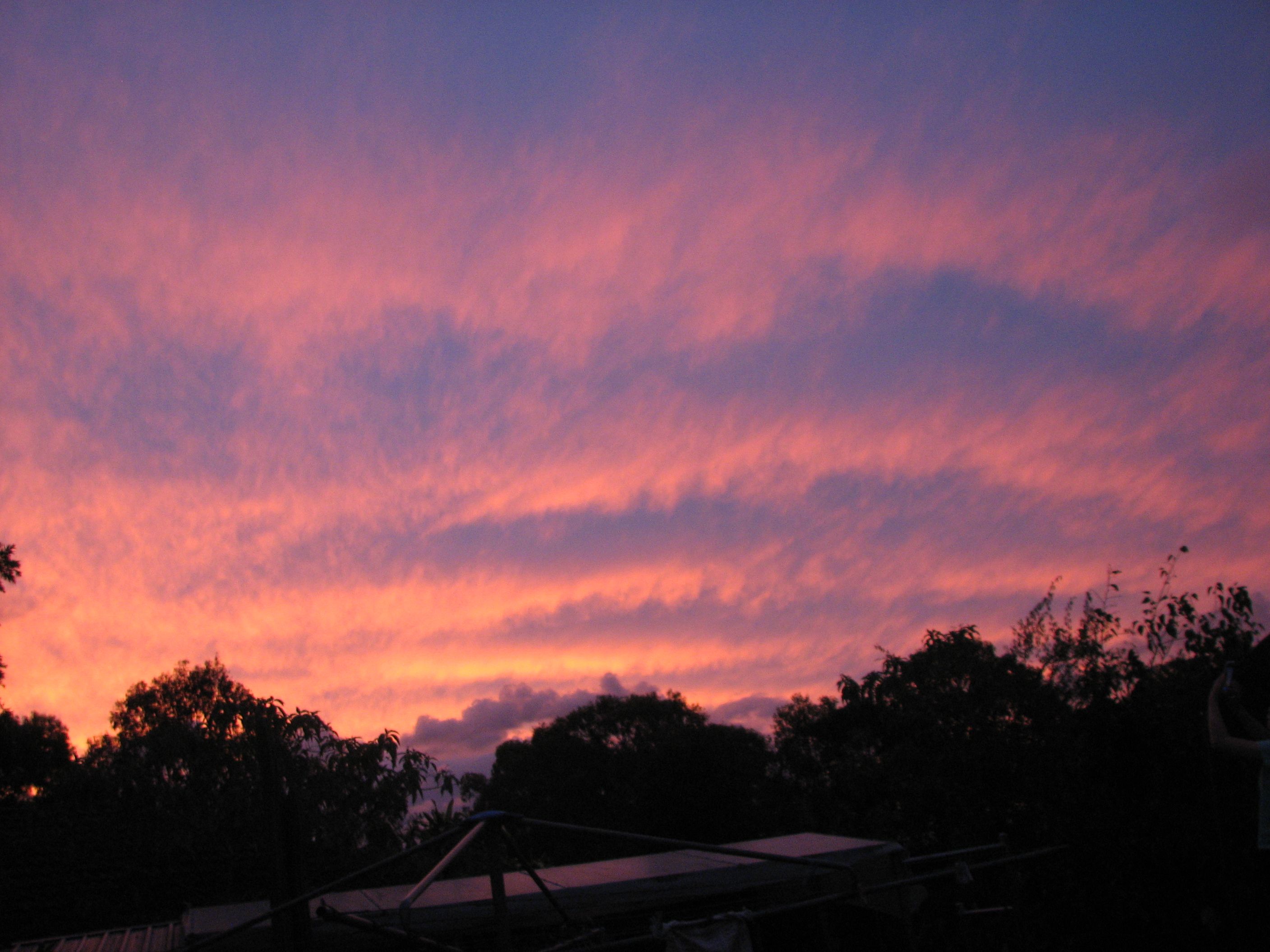 IMG_5241.JPG