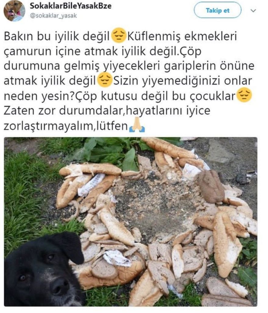 20180321_161457.jpg