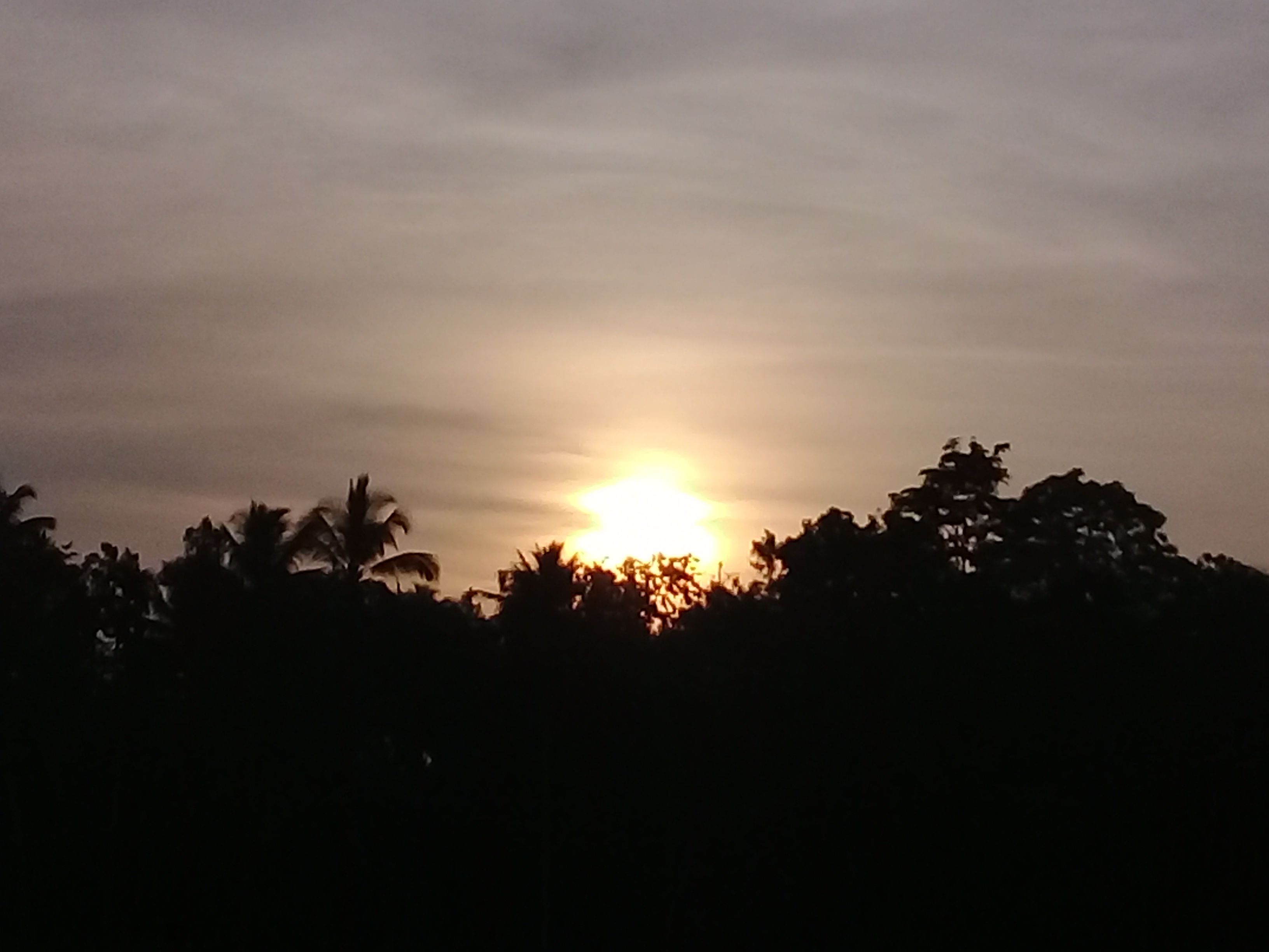 20180312_070309.jpg