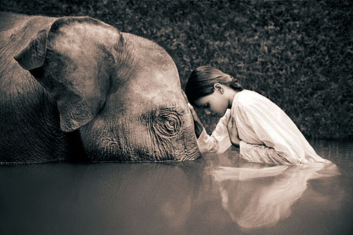 elephant-and-girl-beautiful.jpg