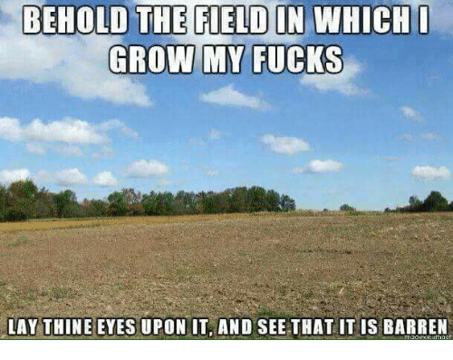behold-the-field-in-which-i-grow-my-fucks-lay-19223016.png
