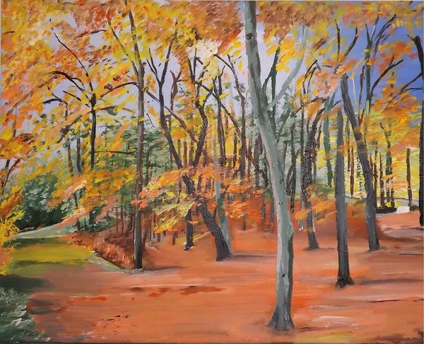 orange-park-denise-morgan.jpg