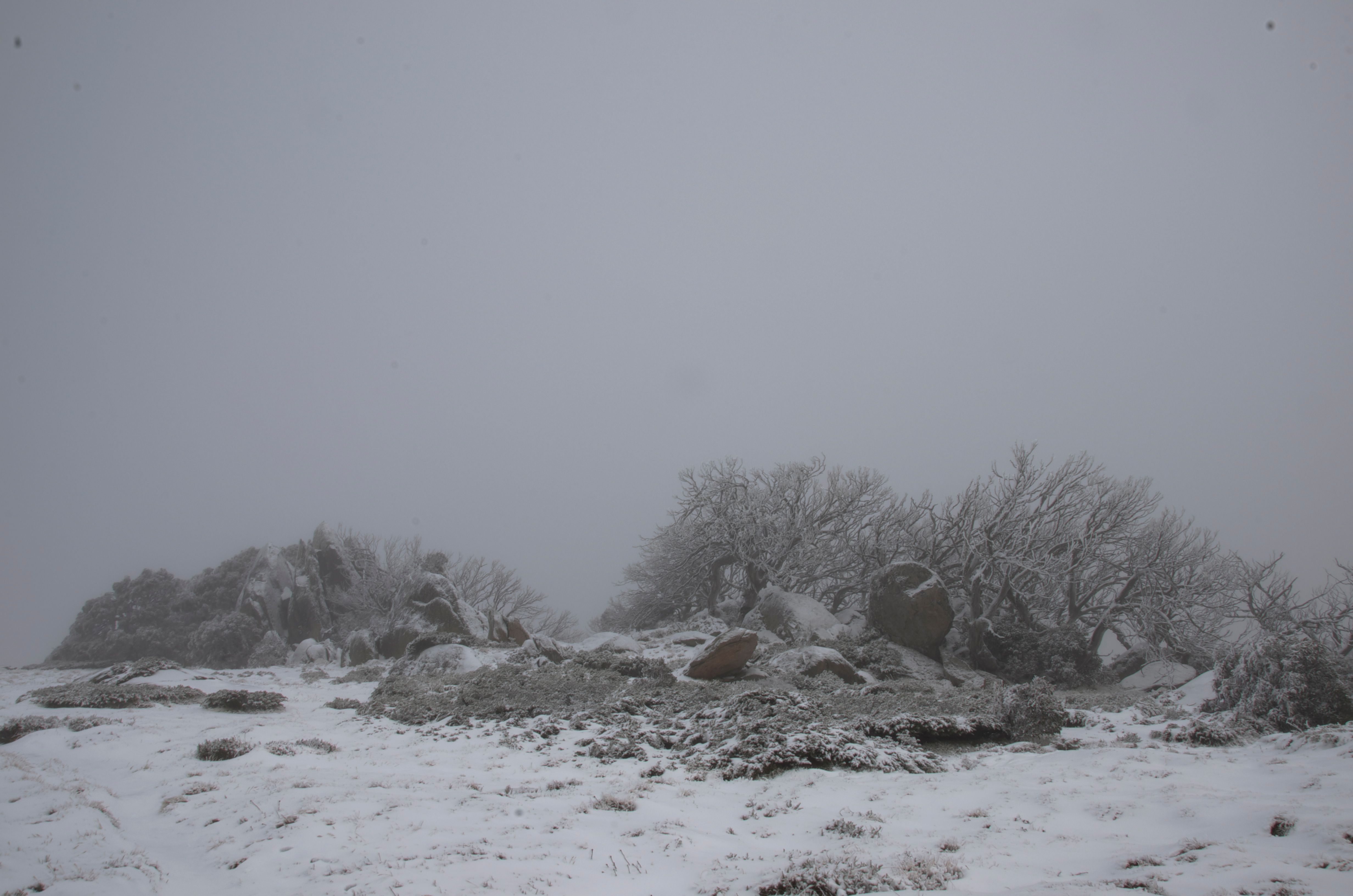 _DSC1818.jpg