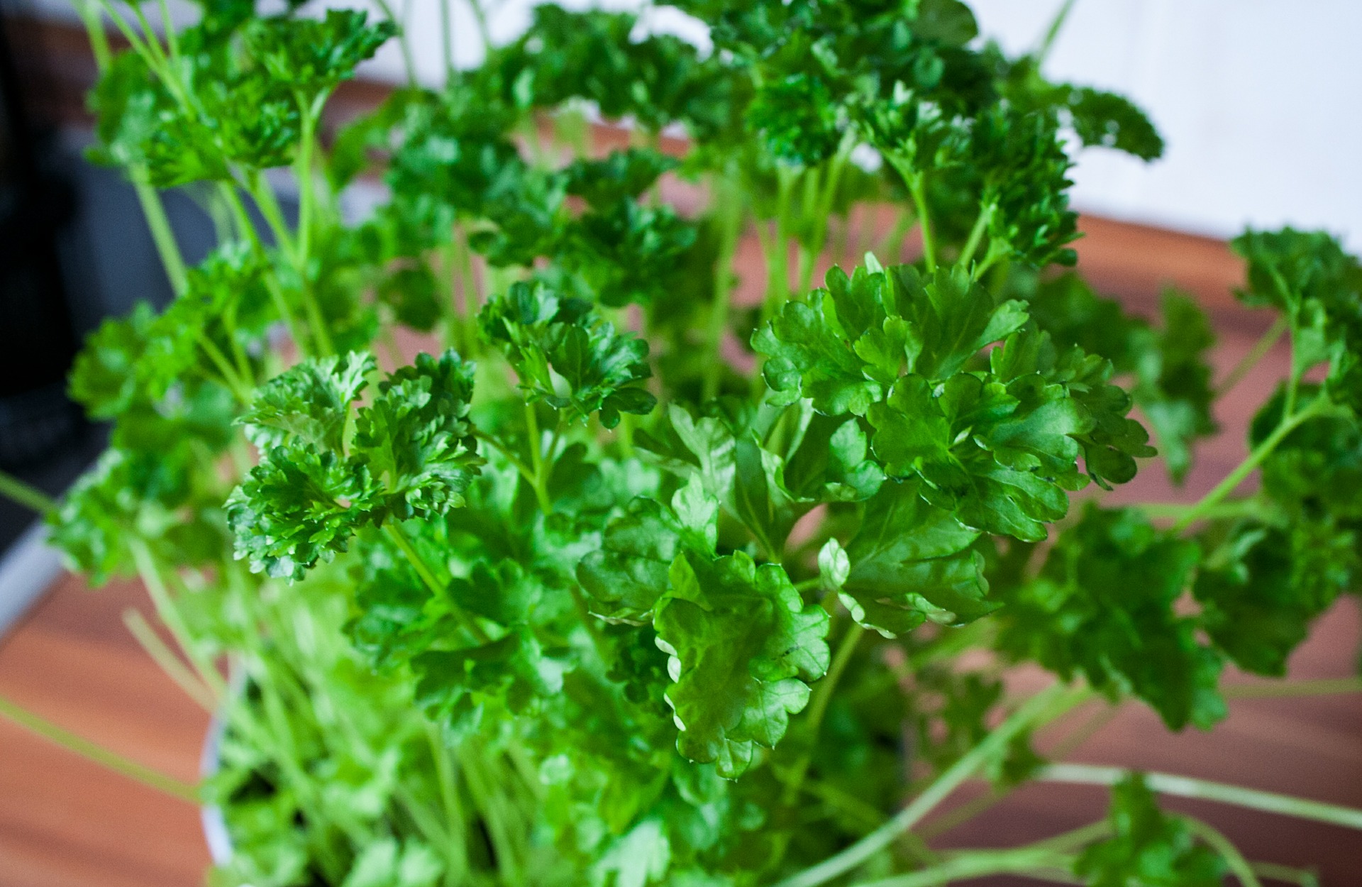 Parsley Pixabay.jpg