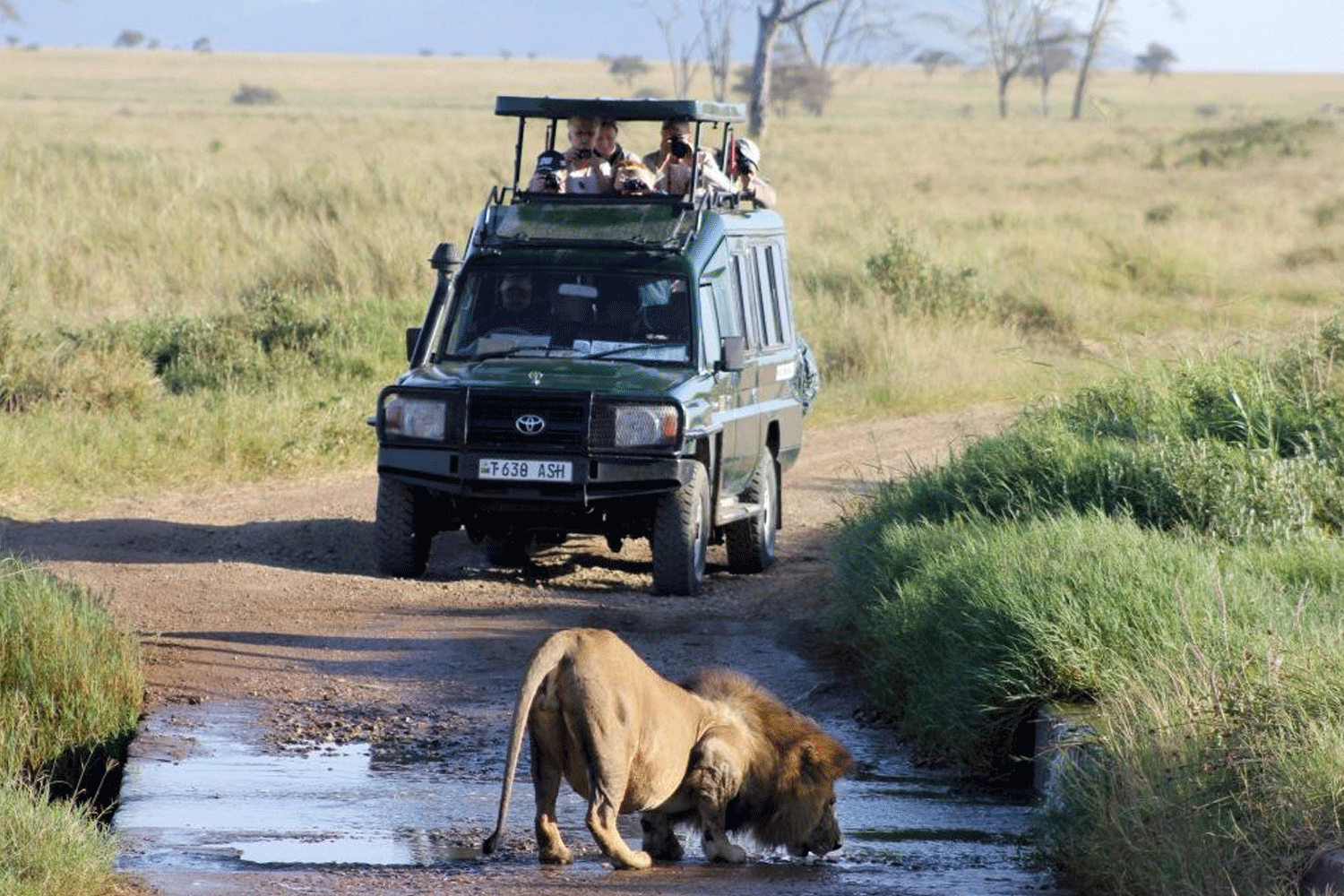 African-Travels-game-drive-Rwanda-Akagera-Parc-National-1500.gif