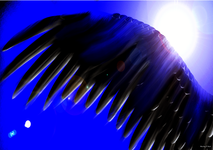 Dark Angel (small).png