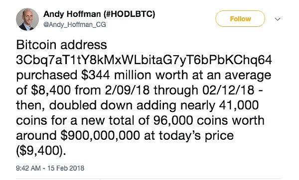 mystery_bitcoin_buyer.jpg