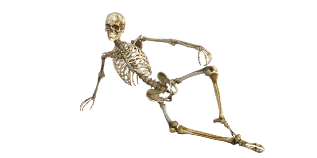 skeleton-1561177_640.png