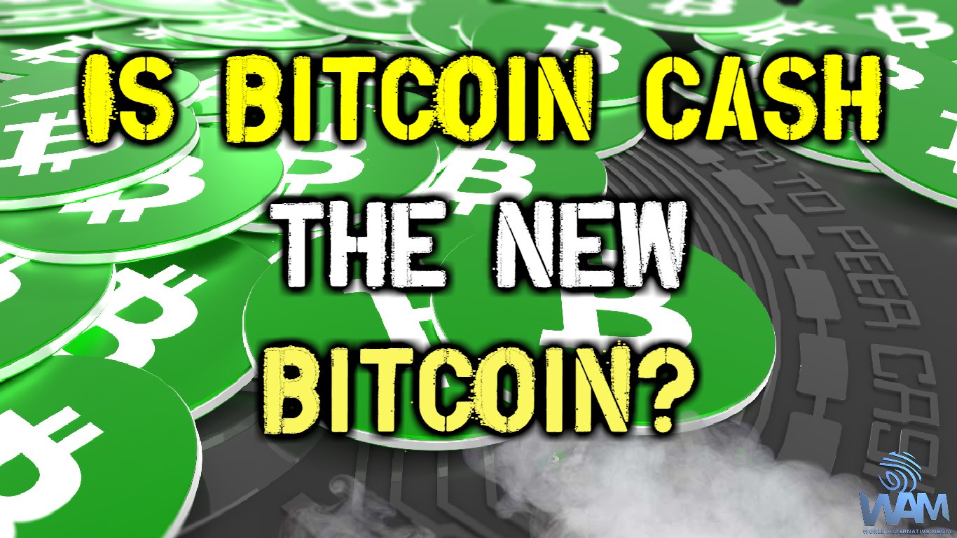 is bitcoin cash the new bitcoin thumbnail.png