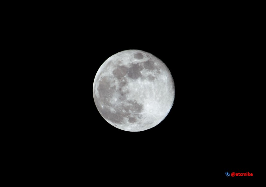 Full Moon PFW21-sa0063.JPG