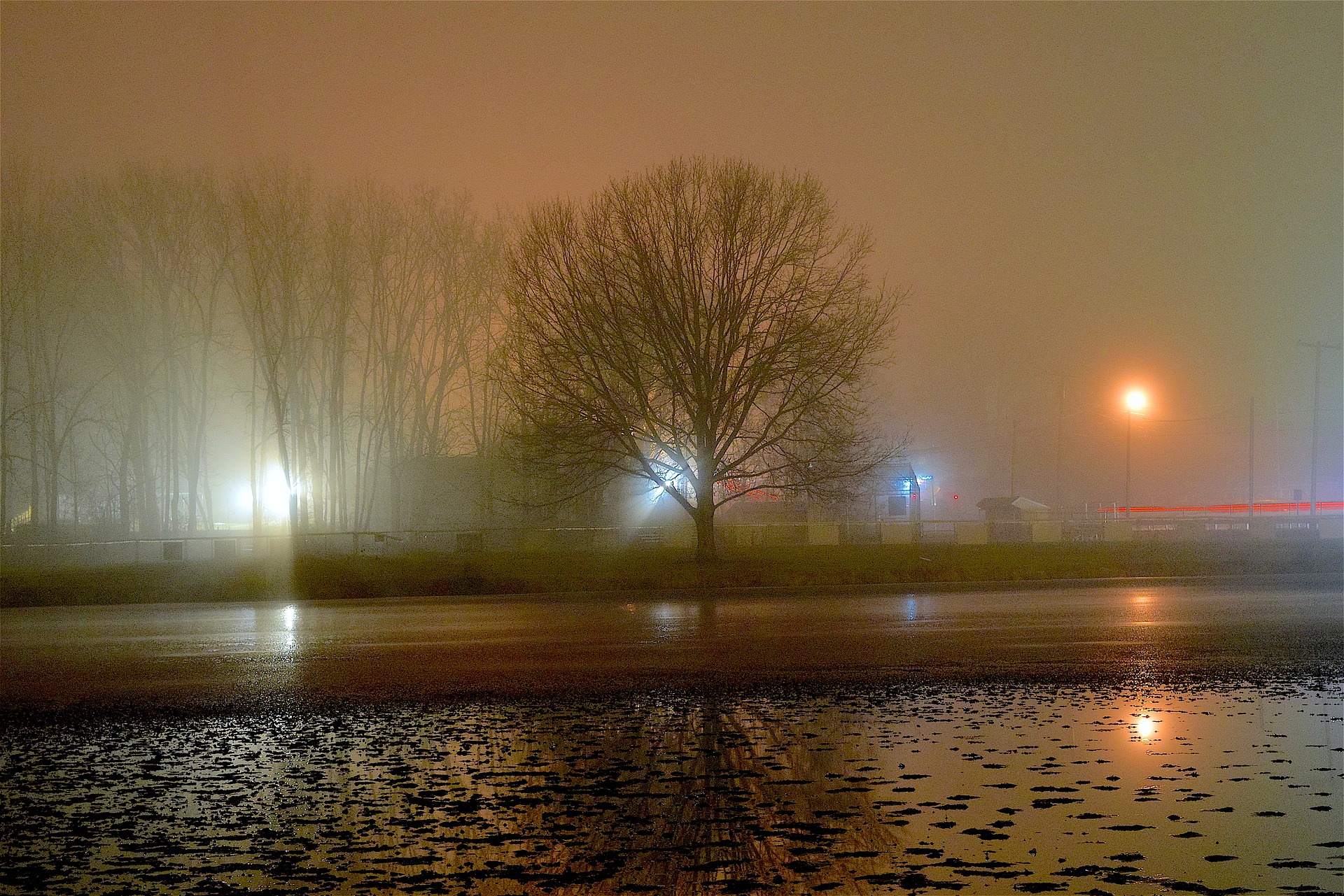 fog-2056378_1920.jpg