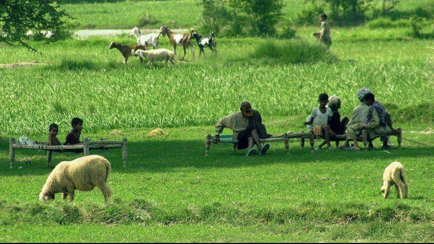 Village life in Pakistan 1.jpg