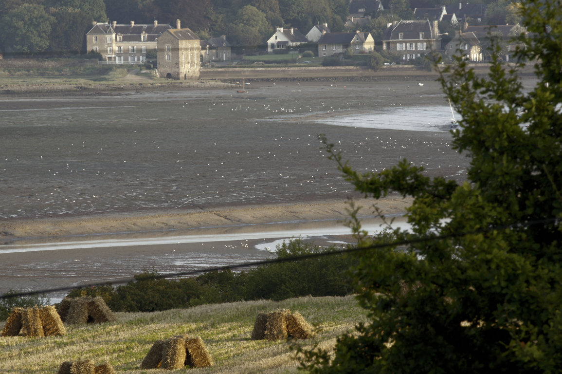 6104228375_ba5ab748a9_o (FILEminimizer).jpg