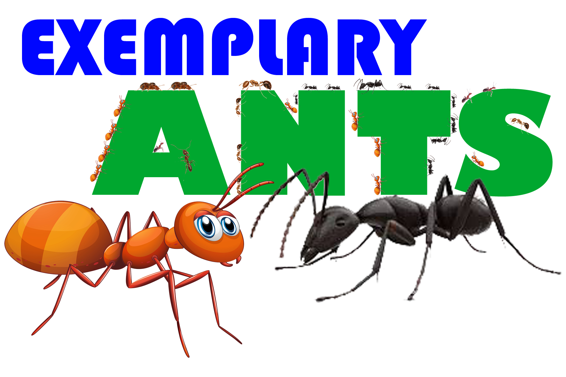 exemplary ants copy.png