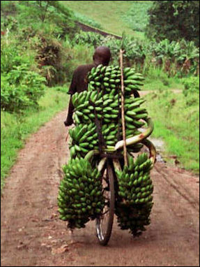 banana carrier.jpg