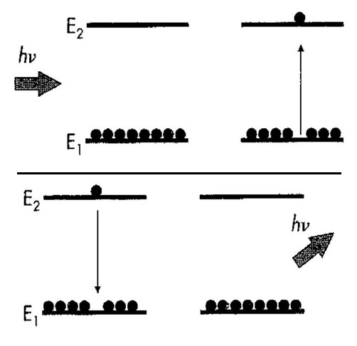 absorption of Light and spontaneous emission.jpg