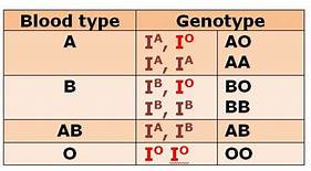 Genotype And Marriage Steemit