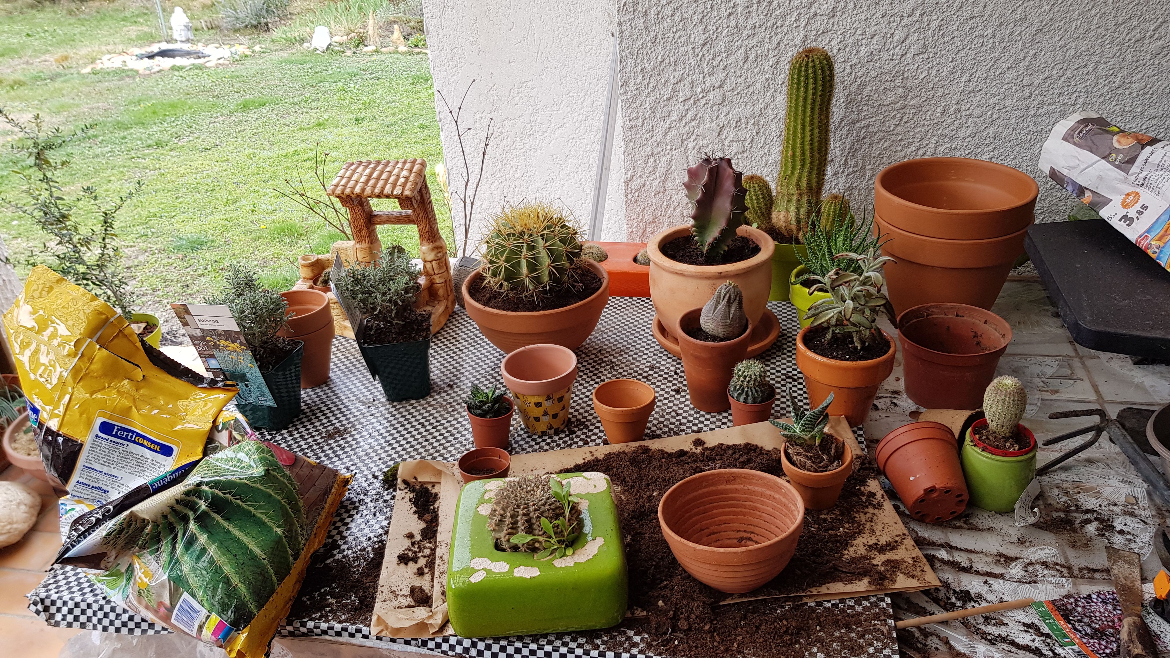 20180312_104309.jpg