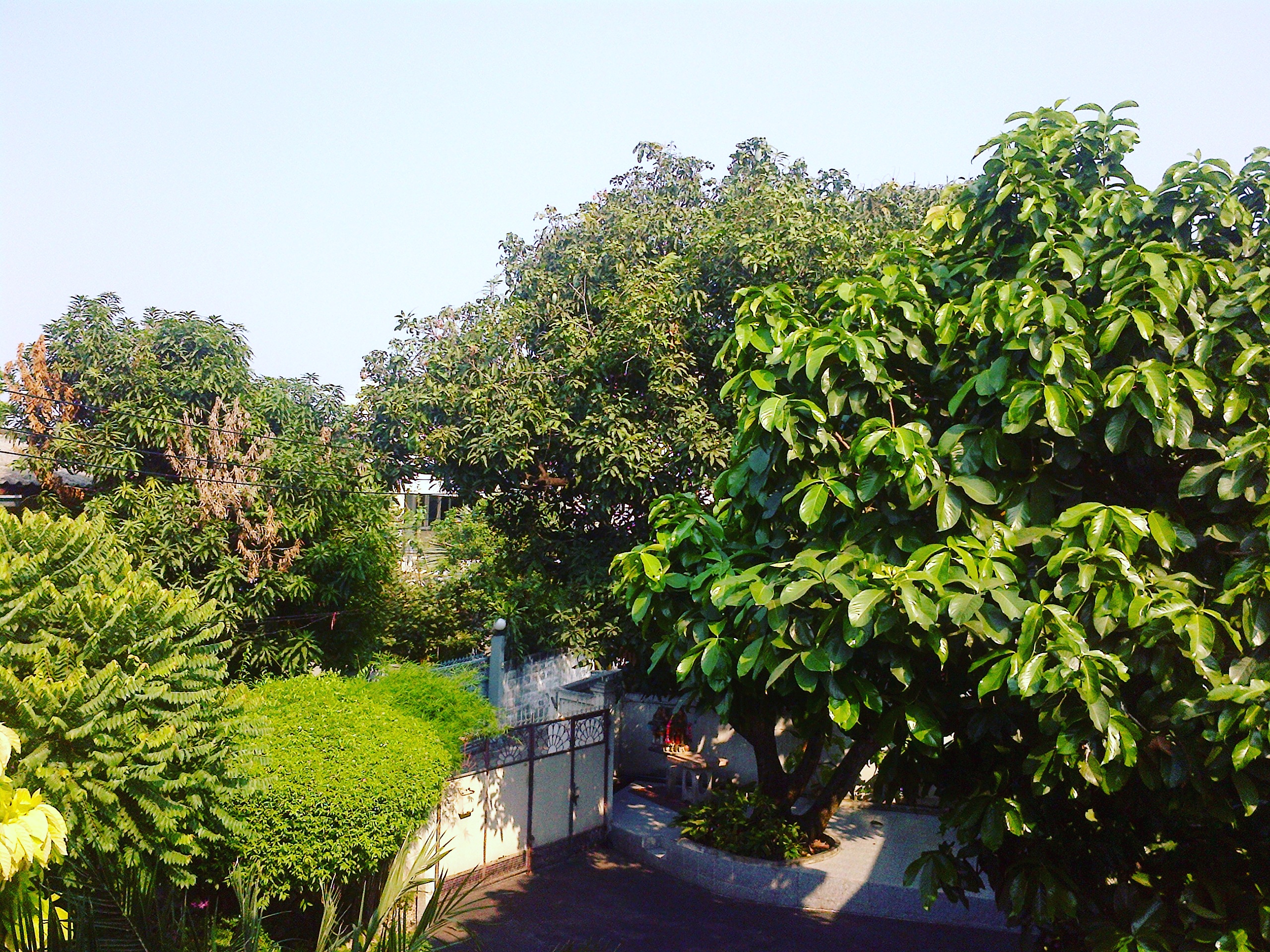 IMG_20160624_125018.jpg