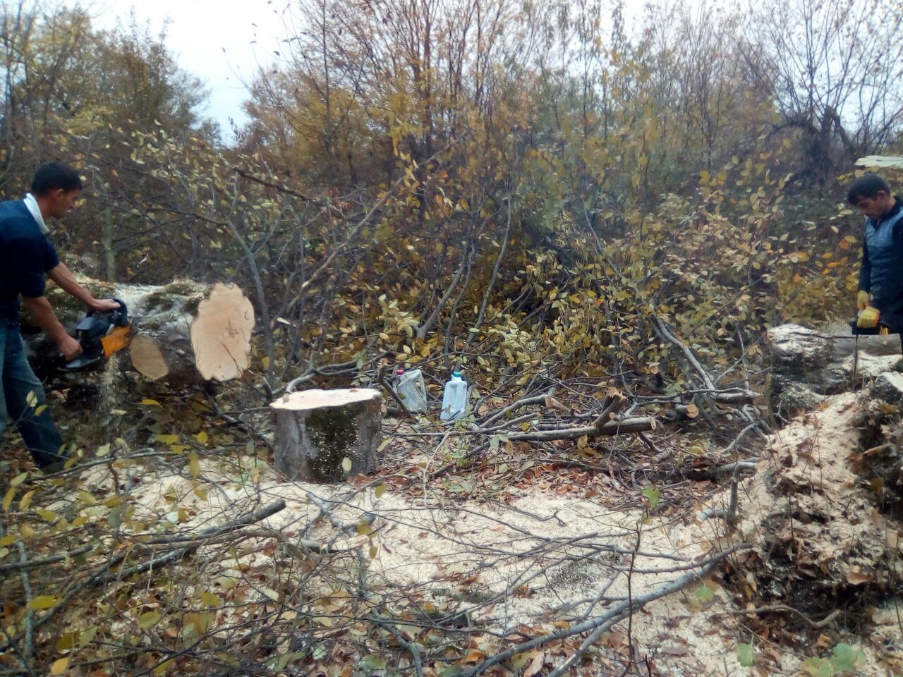 IMG-20171108-WA0020.jpg