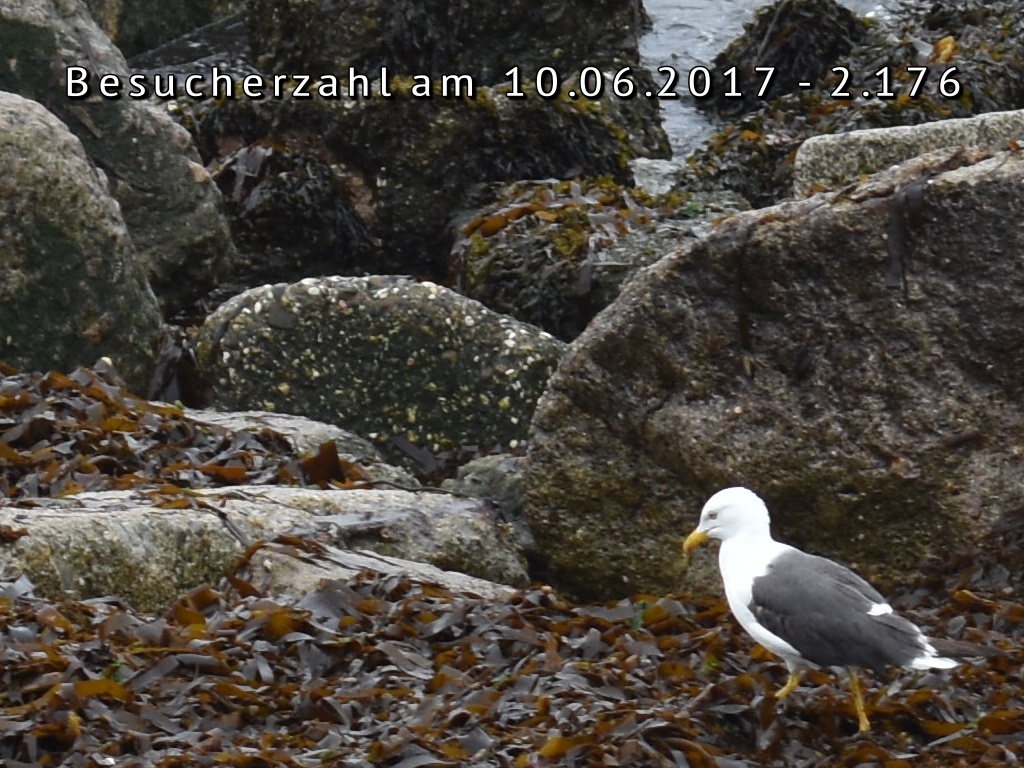 besucher_helgoland_10062017.jpg