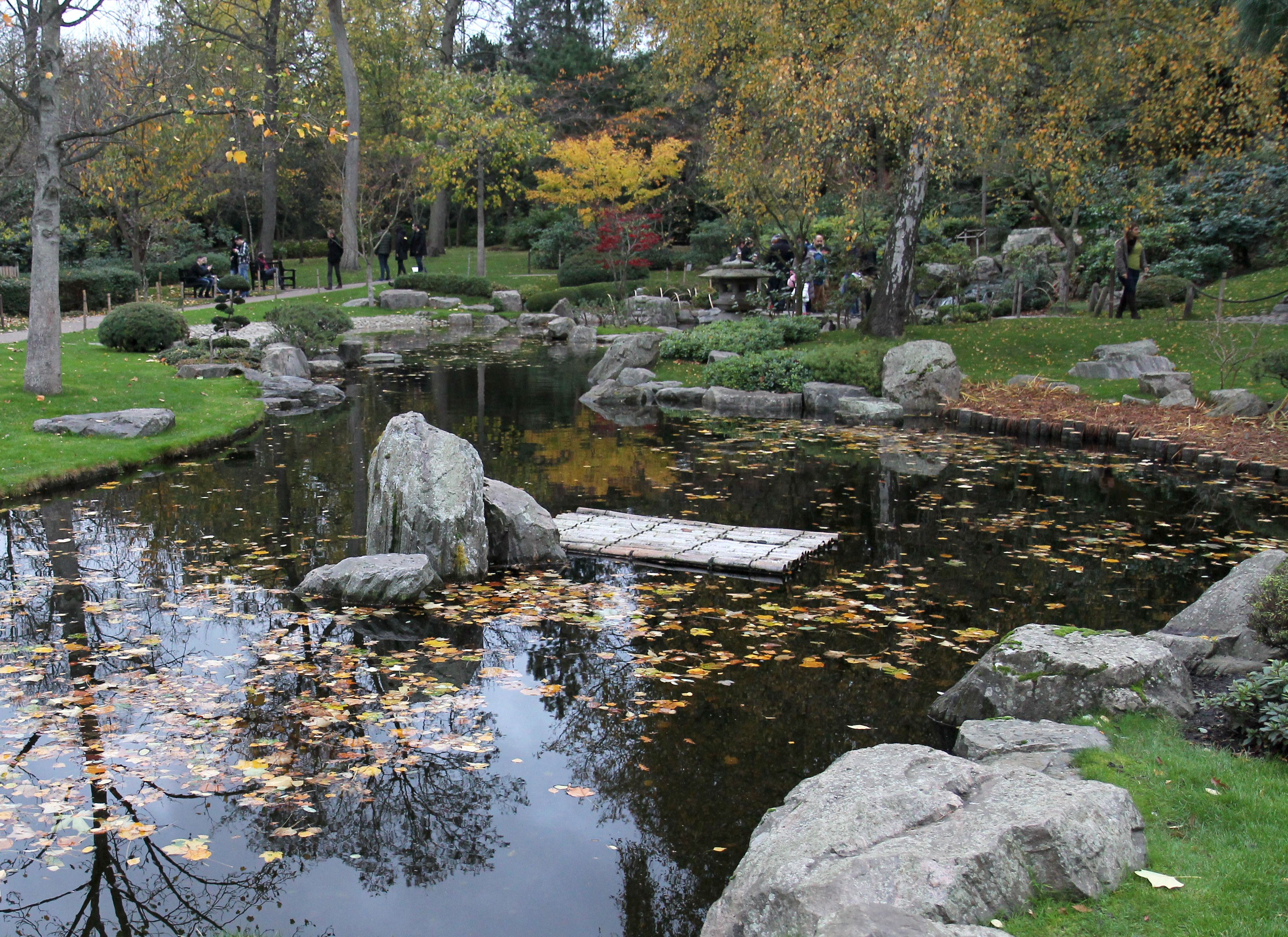 Holland Park Jerboa (14).jpg