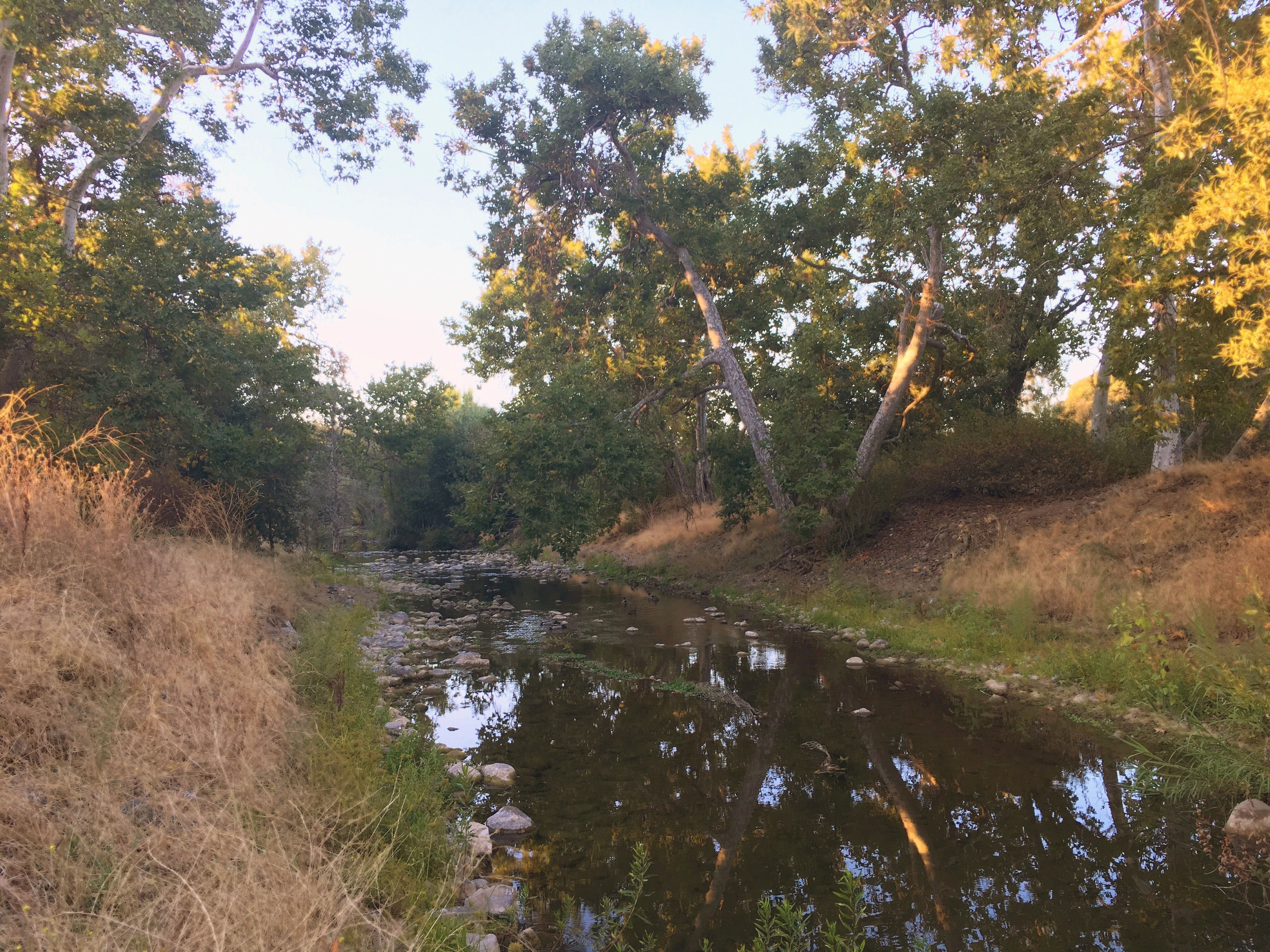 Nature Creek Trail - October California 005.JPG
