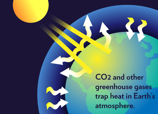 sunlight trapped by co2.jpg
