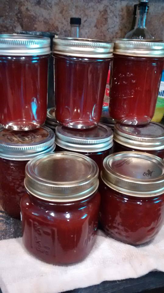 garden gate plum jam 7.jpg