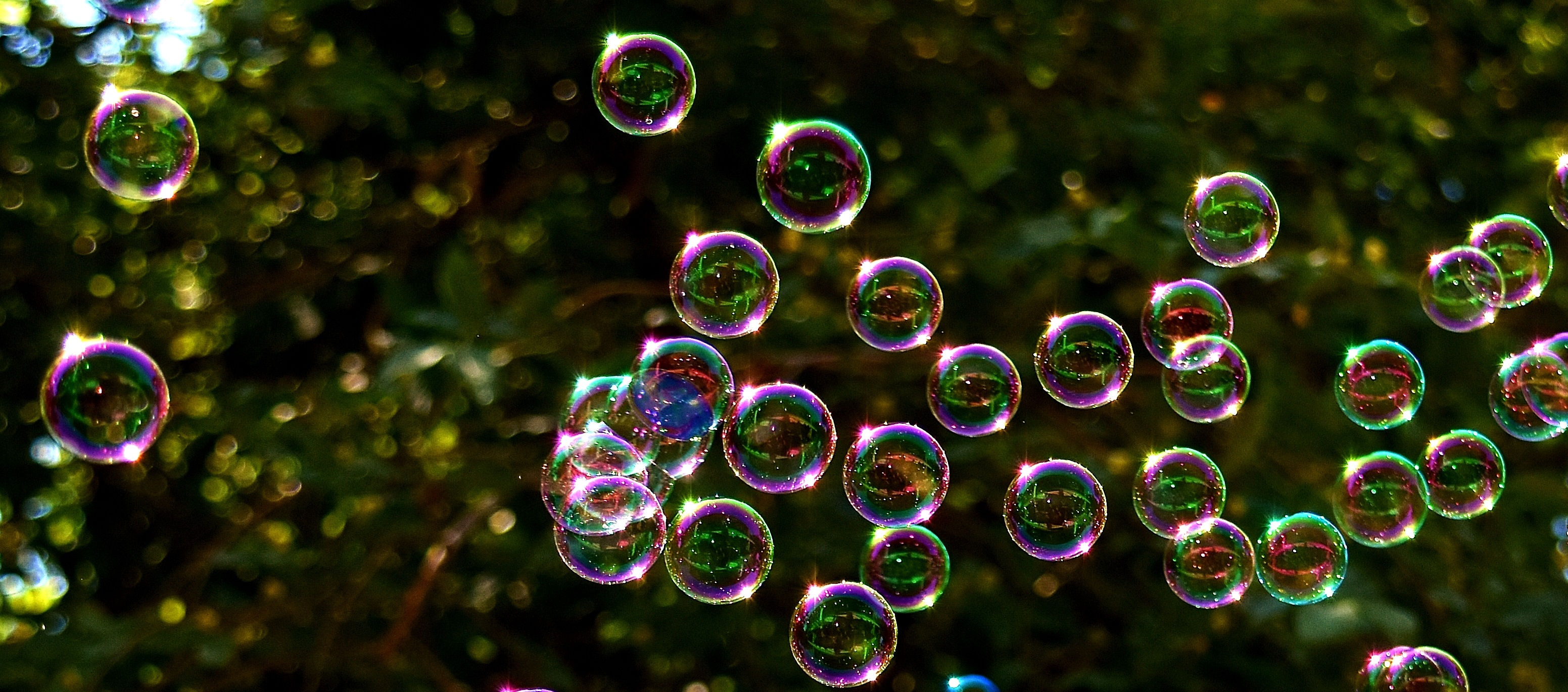 soap-bubbles-2417436.jpg