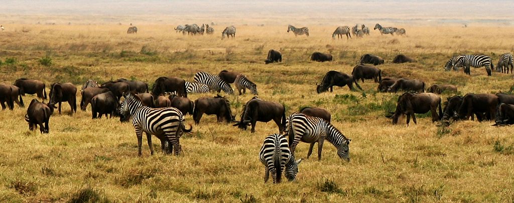 1024px-NgoroNgoro_Crater,_Tanzania,_Africa.jpg